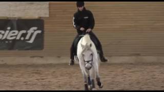 MECANIQUE EQUESTRE  Patrick TEISSERENC  Emilie Haillot [upl. by Ettenyl105]