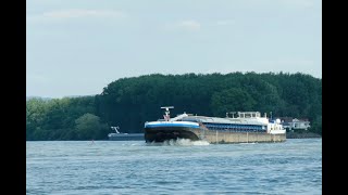 152 Shipspotting Binnenschiffe auf dem Rhein  GMS Bavaria 55 am Eicher See [upl. by Kammerer]