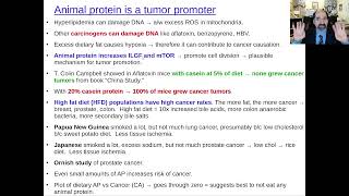 Does fat cause cancer Insights from Warburg Kuo Pritikin and T Colin Campbell [upl. by Nessnaj]