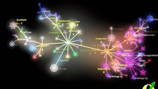 Visualizing QGIS code activity between 16 and 17 [upl. by Marieann]