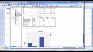 ChiSquare in SPSS [upl. by Flanigan939]