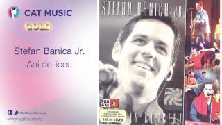 Stefan Banica Jr  Ani de liceu live [upl. by Noyrb]