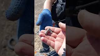 Metal Detector Treasures Found коп металлоискатель [upl. by Nordek966]