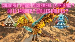 COMMENT TAMER LE PHOENIX FACILEMENT  SCORCHED EARTH ARK ASCENDED [upl. by Henleigh]