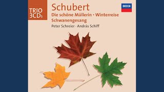 Schubert Die schöne Müllerin D795  7 Ungeduld [upl. by Moina]