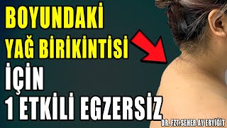 BOYUNDAKİ YAĞ BİRİKİNTİSİ İÇİN 1 ETKİLİ EGZERSİZ aktifizyo boyunağrısı [upl. by Esyle]