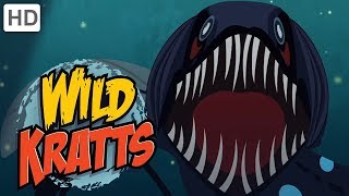 🦈🦑Wild Kratts  Ocean Explorers  Kids Videos [upl. by Keg]