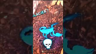 Glacier scorpion ☠️🥶trollface [upl. by Aiekat]