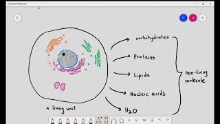 The Whole of AQA ALevel Biology  Biological Molecules  Revision [upl. by Killen]