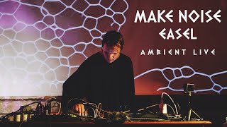 Make Noise Strega 0Coast 0Ctrl  Ambient Live [upl. by Ardnovahs102]