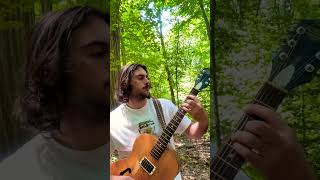 Photosynthesis 😮‍💨🍃 musician trees wilderness trail walking onemanband rock [upl. by Sloane]