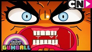 Gumball  Darwin Gets Jealous Of Penny  The Bros  Cartoon Network [upl. by Icat]