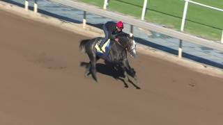 Arrogate Headlines 2017 San Pasqual Stakes [upl. by Nirraj]