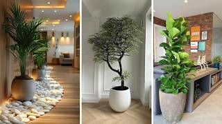 277 Increíbles iDEAS de PLANTAS PARA INTERIORES DE SALAS que decorarán de forma natural tu hogar [upl. by Lyrahs695]