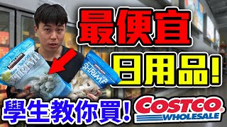 好市多Costco最便宜日用品開箱推薦！市售最低價！卡費都省回來了！【客家學生EP28】 dinner lin低能林 [upl. by Maddalena502]