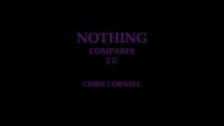 Chris Cornell  quotNothing Compares 2 Uquot Prince Cover [upl. by Eiznil]