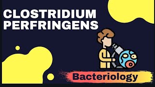 CLOSTRIDIUM PERFRINGENS  Microbiology [upl. by Eiknarf]