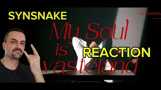 Synsnake  My Soul Is A Wasteland 내 마음은 황무지  〈산울림 50주년 기념 프로젝트〉 MV REACTION [upl. by Lotz]