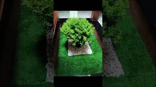 garden setting🪴 part2garden plants [upl. by Senzer]