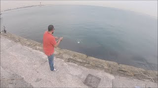 Kuwait Queenfish Frenzy P1 Shuwaikh  جنون الضلعة ج 1 الشويخ  لفاح صيد الكويت [upl. by Baumbaugh]