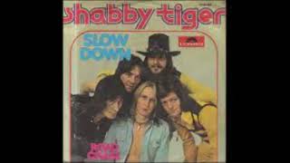 SHABBY TIGER  Slow down [upl. by Laet]