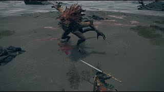 Elden Ring Boss Fight  Leonine Misbegotten [upl. by Dnalyag]