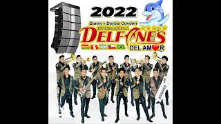 LOS DELFINES DEL AMOR FEAT LA NUEVA IMAGEN  MIX HUAYÑOS 2022 [upl. by Gilroy441]