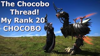 「FINAL FANTASY XIV」Heavensward The Chocobo Thread quotMy Rank 20 Chocobo Guidequot [upl. by Uriisa50]