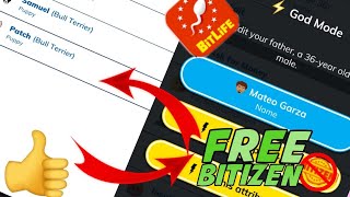 How to get  Bitizen and Godmode for free  BITLIFE  100 WORKING AUGUST 2020 [upl. by Sandberg]