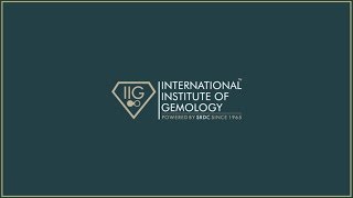 IIG  Indias Most Trusted International Institute of Gemology  Certified Gemology Courses in India [upl. by Gadmann978]