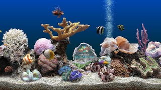 Marine Aquarium Screensaver 4K UHD [upl. by Alacim93]