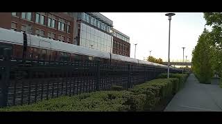 Amtrak Cascades Talgo train stops at train station [upl. by Samohtnhoj]