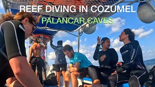 REEF DIVING IN COZUMEL 2024 [upl. by Bolanger]