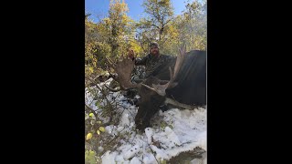 Idaho Moose Hunt 2019 [upl. by Allenaj]