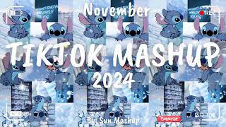 Tiktok Mashup November 💙2024💙 Not Clean [upl. by Llehcal]