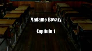 Madame Bovary por Gustave Flaubert  Resúmenes de Libros [upl. by Killen]