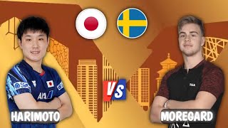 Truls Moregard vs Tomokazu Harimoto WTT China Smash 2024 [upl. by Nandor]