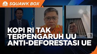 Ada Pasar Lain Kopi RI Tak Terpengaruh UU AntiDeforestasi Uni Eropa [upl. by Wilek434]