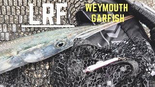 LRF  Weymouth Garfish [upl. by Sadler493]