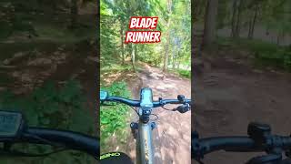 BladeRunner PaganelllaBikePark trentino [upl. by Raamal]