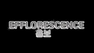 Efflorescence개화 소속사 인원모집 합니다 무페이 [upl. by Idnaj]