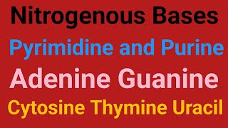 Nitrogenous basesPyramidinesPurinesStructure of Adenine Guanine Cytosine  thymine uracil [upl. by Barayon334]