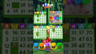 Check Out Players Play Bingo Bash Live [upl. by Serdna]