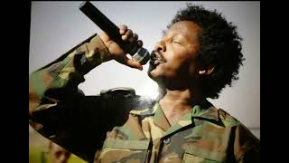 Abebe araya best tigray TDF song eziy eyu mot [upl. by Ahsenad]