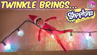 Elf on the Shelf Brings Shopkins Surprise Christmas Ornament Day 5 [upl. by Aivizt]