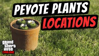 GTA Online Peyote Plant Locations Map Guide  ALL PEYOTE LOCATIONS Level Up RP Fast [upl. by Dyolf184]