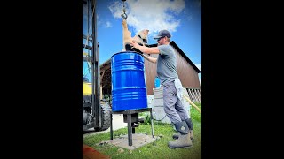 Butchering Berkshire pigs on the homestead  dispatching scalding amp scraping pigs [upl. by Bixler]