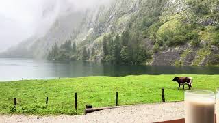 國王湖 Königssee Fischunkelalm [upl. by Pepin]