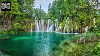 Capolavori della Natura Il Parco Nazionale dei Laghi di Plitvice [upl. by Ahsikym]