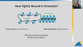 BIOL201 Ch163  Eukaryotic Epigenetic Gene Regulation [upl. by Hortensia]